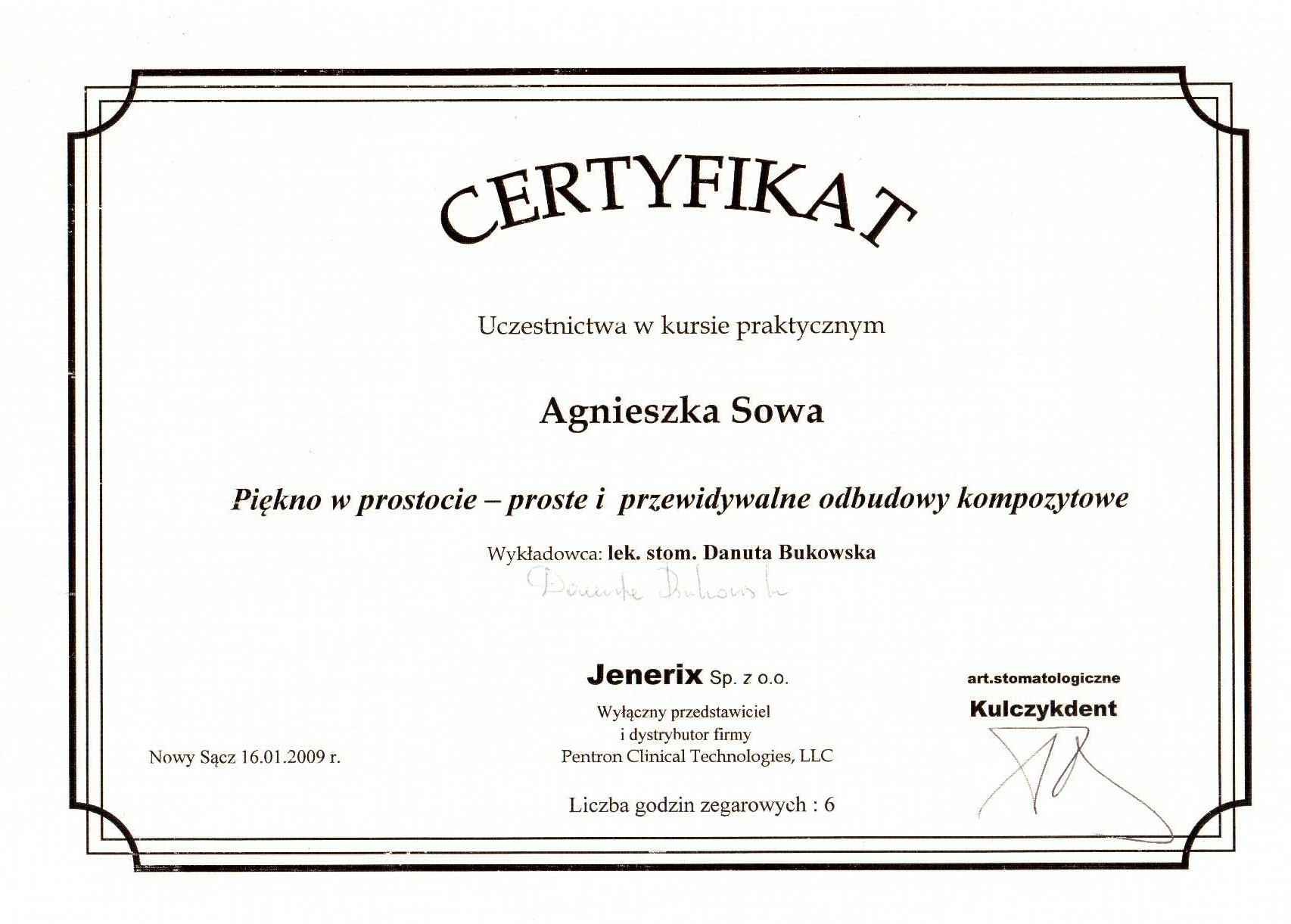 Odbudowy kompozytowe